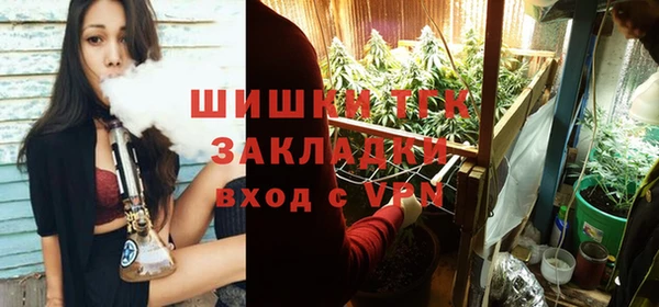 сатива Арсеньев