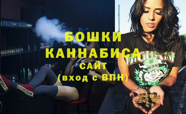 сатива Арсеньев
