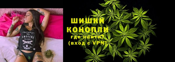 сатива Арсеньев