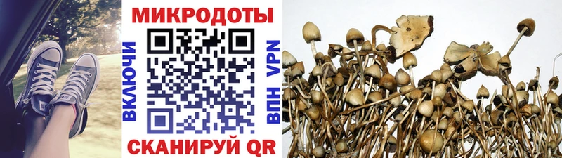 Галлюциногенные грибы ЛСД Нурлат