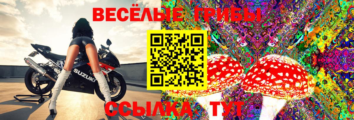 Галлюциногенные грибы Magic Shrooms Нурлат
