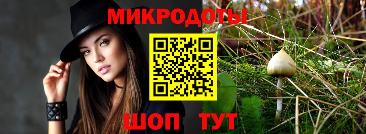 Нурлат  Псилоцибиновые грибы MAGIC MUSHROOMS  Вход с VPN 